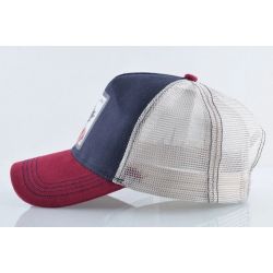 Gorra Dragon Ball Z Goku 2